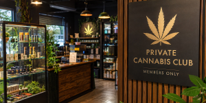 Private Cannabis Clubs South Africa